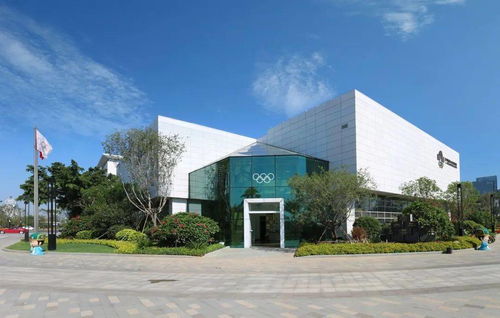 厦门城市职业学院商贸系学生党支部走进厦门奥林匹克博物馆开展主题教育活动