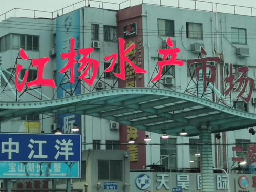 中国国际水产博览会走进上海江杨水产市场与厦门商贸合作新篇章