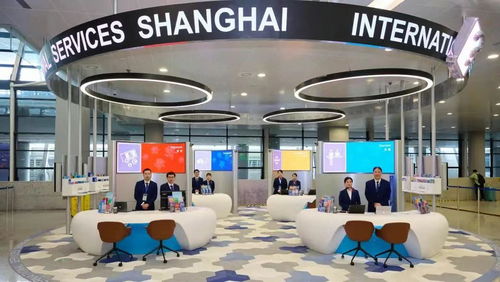 上海浦东机场外籍人员一站式综合服务中心启用 促进国际化营商环境建设